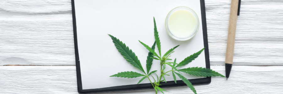Cannabis Laws Lessen the Opioid Crisis