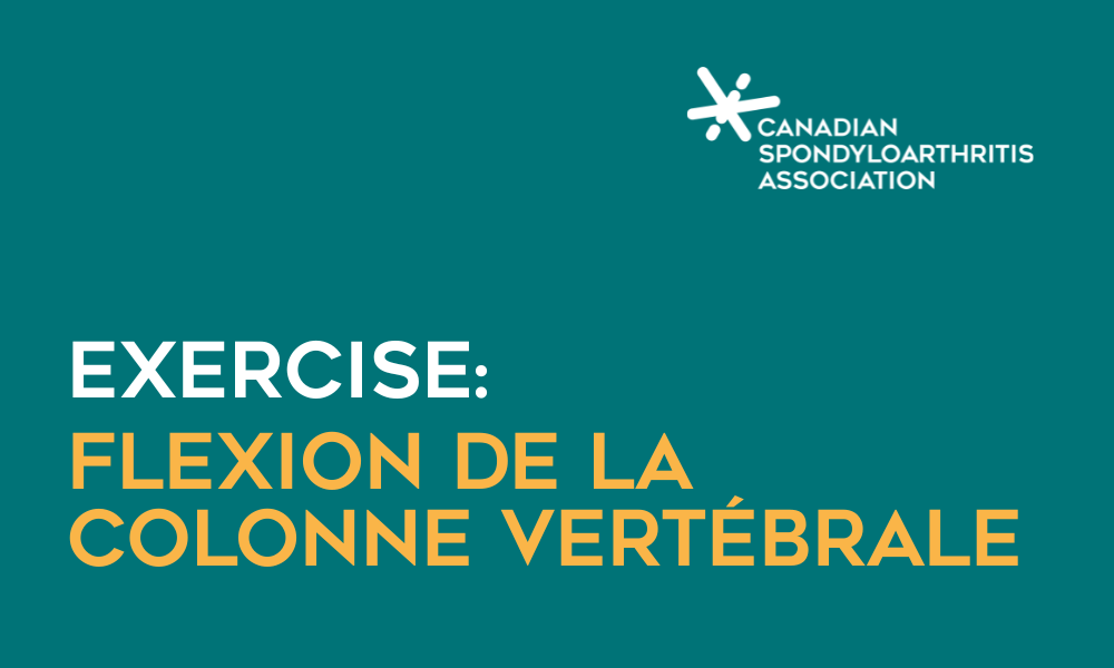 Exercice: Flexion de la colonne vertébrale